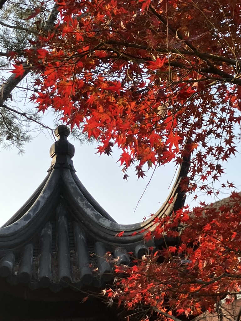 2024年度总结